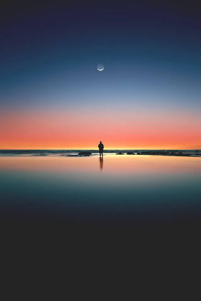 Silhouette of person standing on seashore